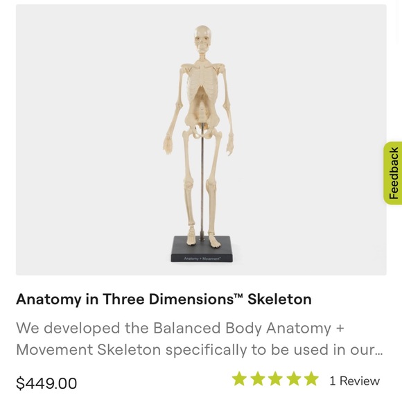 Balanced Body Anatomy Skeleton & Sculpt Kit